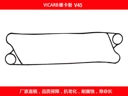 V45 国产板式午夜国产AV密封垫片