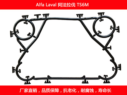 TS6M 国产板式午夜国产AV密封垫片