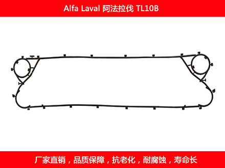 TL10B 国产板式午夜国产AV密封垫片